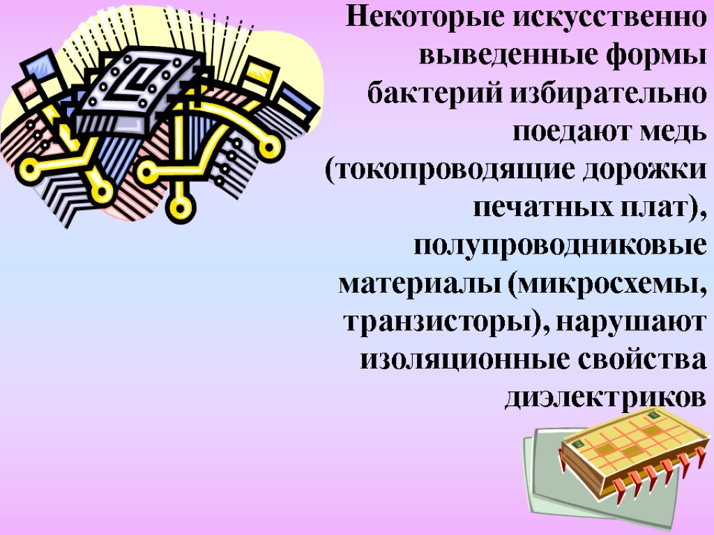 Некоторые искусственно выведенные формы бактерий избирательно поедают медь (токопроводящие дорожки печатных плат), полупроводниковые материалы